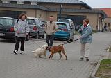 RENCONTRE ENTRE CHIENS 178